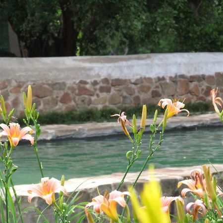 فندق Hillside Farm Trompsburg المظهر الخارجي الصورة