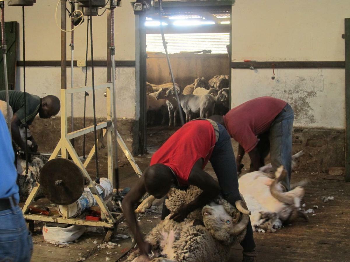 فندق Hillside Farm Trompsburg المظهر الخارجي الصورة