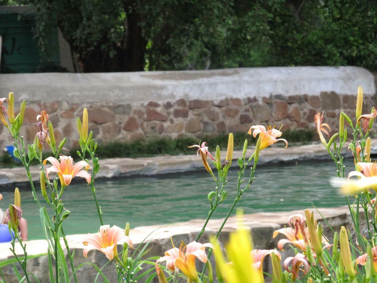 فندق Hillside Farm Trompsburg المظهر الخارجي الصورة